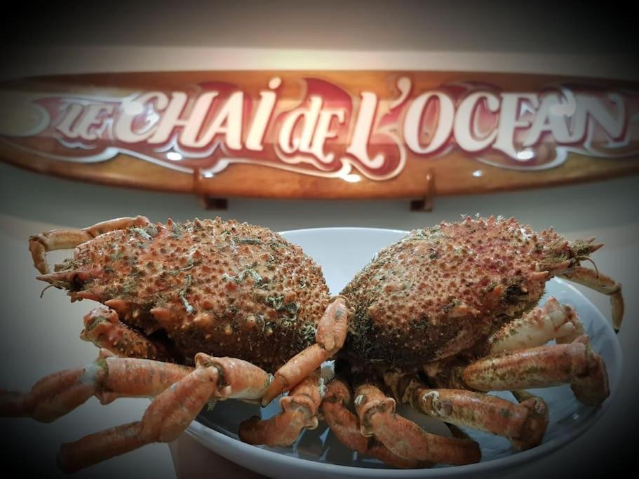 Le Chai de l'Océan Soulac-sur-Mer Extérieur photo